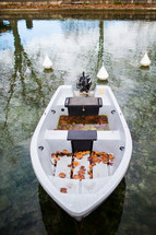 a boat floating on a pond 