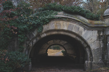 ivy and tunnel 