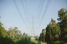 Power lines in tree-lined field.