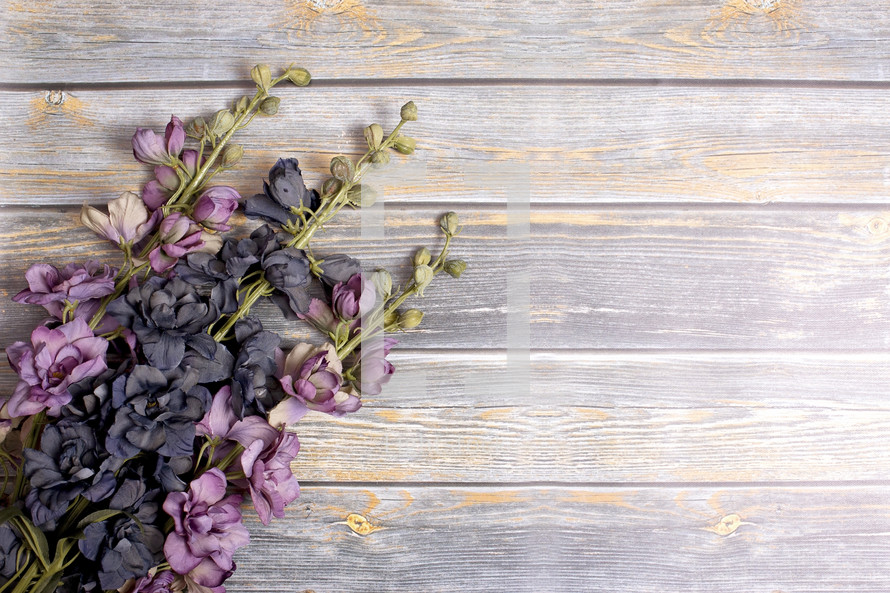 purple flowers on weathered wood boards 