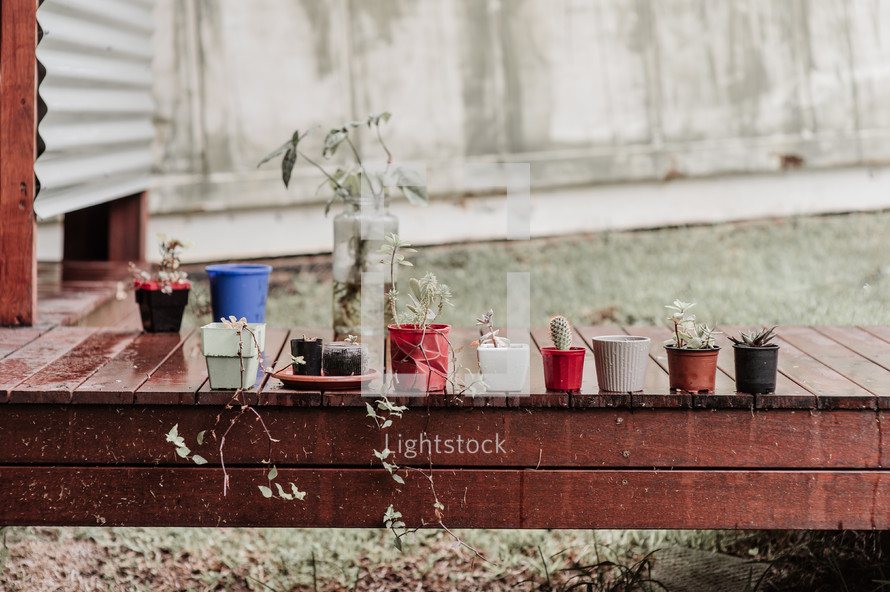 potted plants on a deck 