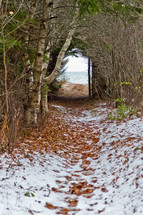 Snow covered path through the trees leading to the ocean.