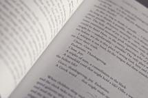 Text on the inside pages of a book.