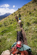 riding horses on a mountain trail 