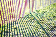 Shadows on fence poles in the grass.