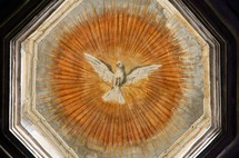 painting of a dove - holy spirit 
