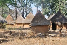 African mud and thatched grass hut