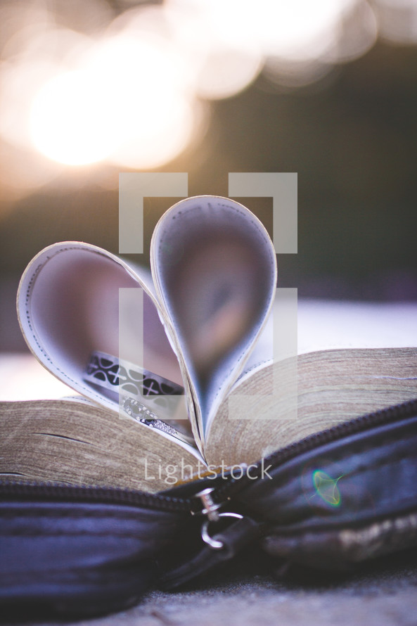 wedding bands in the pages of a Bible folded into the shape of a heart 