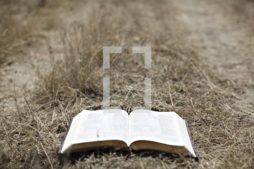 An open bible lying on a path