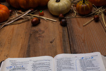Holy Bible on a wood table and border of pumpkins