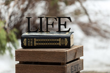 word life on a Bible 