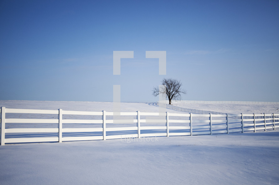 white fence line and snow covered ground 