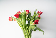vase of red tulips 