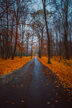 wet road in autumn 