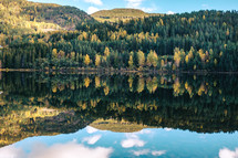 reflection of trees on a mountain forest on lake water 
