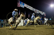 rodeo cowboys on horses 