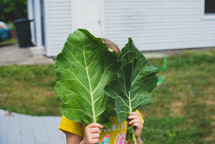 a child holding vegetable leaves 