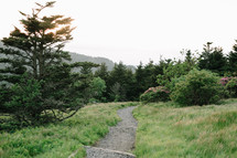 path through green grass on a mountain 