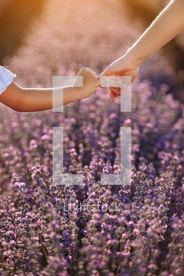 Happy family day. Mom holds her child daughter by hand in lavender field on summer day. Family outdoors in nature on sunset. Motherhood, childhood and care concept. Mothers day. Sun rays