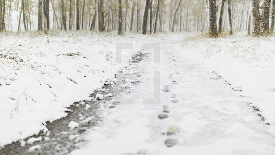 footprints on path in fresh snow
