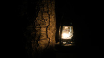lantern against a tree in darkness 