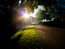 sunlight over a path 
