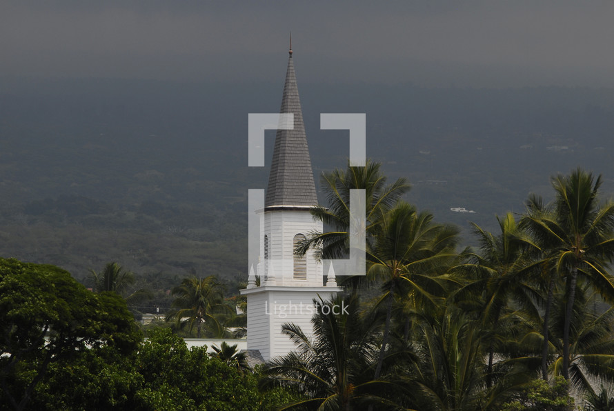A church steeple among palm trees.