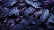 Purple and black feathers as a background. Texture of feathers.