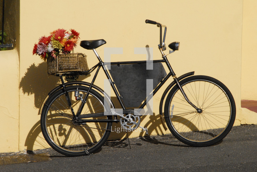 Bicycle with basket of flowers - Valentines Day