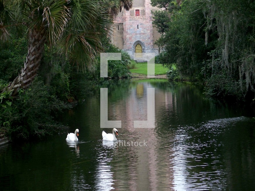 The reflecting pond - a pair of swan gracefully glide across a quiet and peaceful pond with the reflection of Bok Tower in the background. 