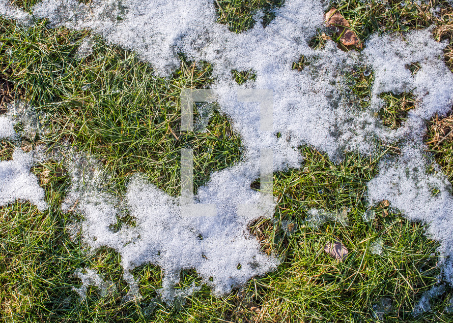 melting snow on grass