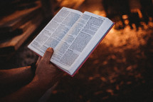 reading a Bible by a fire 