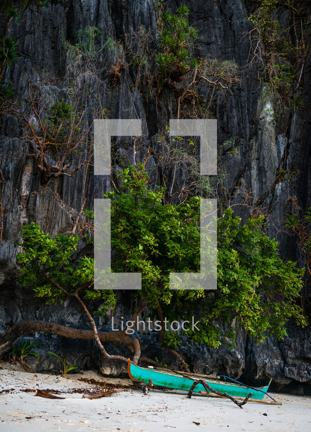 trees on cliffs of Palawan Islands, Philippines 