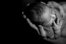hands holding a sleeping newborn baby