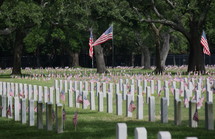 Military cemetery.