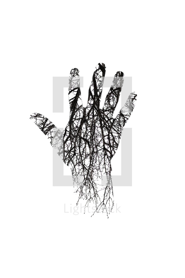 a reaching hand with branches. 