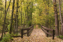 fall leaves on a footbridge over a stream 