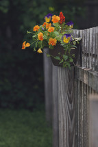 hanging basket of flowers on the side of a wood fence 