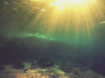 rays of sunlight shining on the ocean floor 