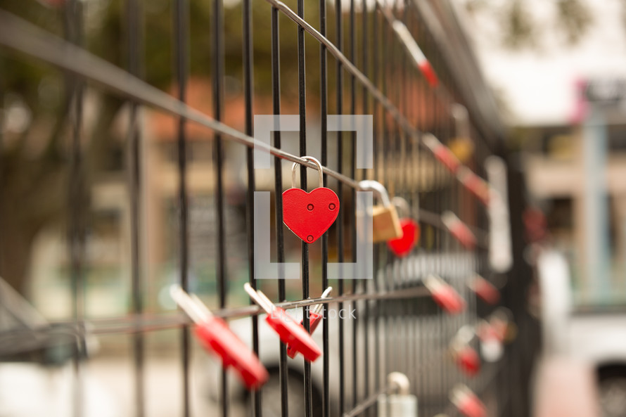 heart shaped love locks 