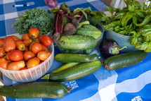 fresh picked summer produce 