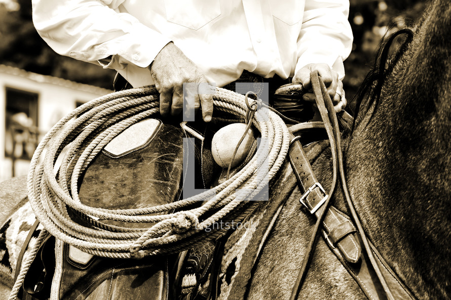 An authentic working cowboy is riding and preparing to use his rope during the course of his job - sepia tint added for vintage look and feel.  This image conveys old fashioned values, tradition, work ethic, and/or rural demographics.