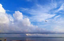 Calm Seas after the storm - A bird flies effortlessly against the clouds over a calm and serene ocean after a thunder storm at sea.