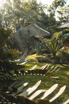 sheds in a tropical jungle 