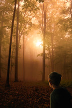 a little boy looking into a forest at sunset 