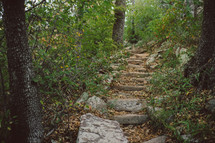 stone steps in a forest 