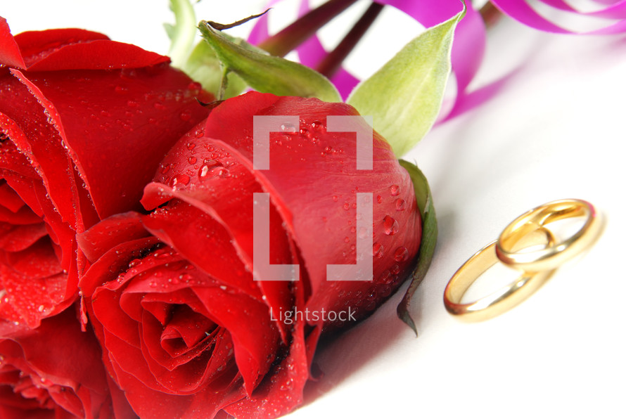 red roses and wedding rings 