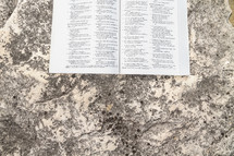 Open Bible on a rock