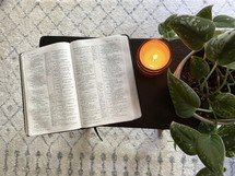 opened Bible, houseplant, and candle 
