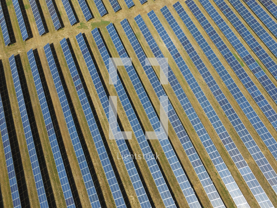 solar panels in a solar energy farm 